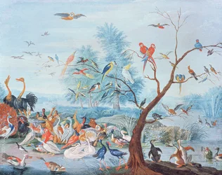 Tropical Birds in a Landscape